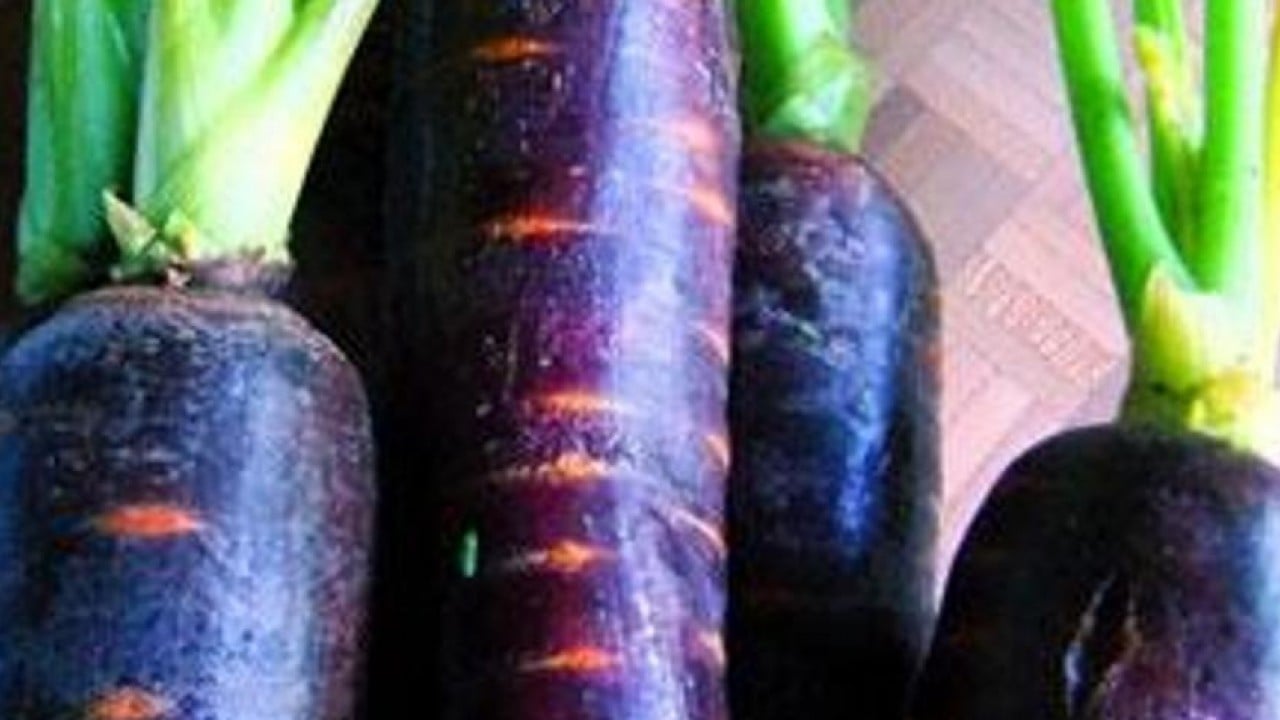 Foto - Sağlığın rengi değişti: Siyah havuç neden bu kadar değerli?