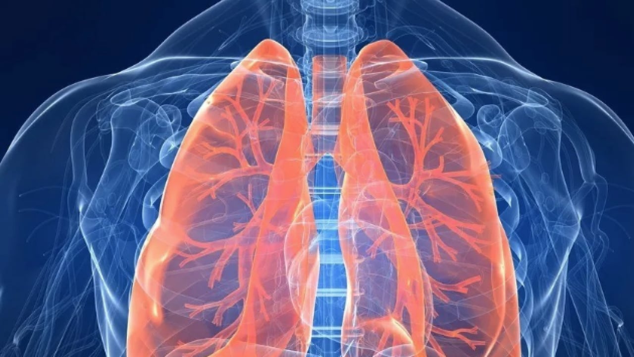 Foto - Sağlık Bakanlığı açıkladı: 2025 Yılında Sağlık Tesislerinde 30 Bin 935 Kişi Pulmoner Rehabilitasyondan Yararlandı!