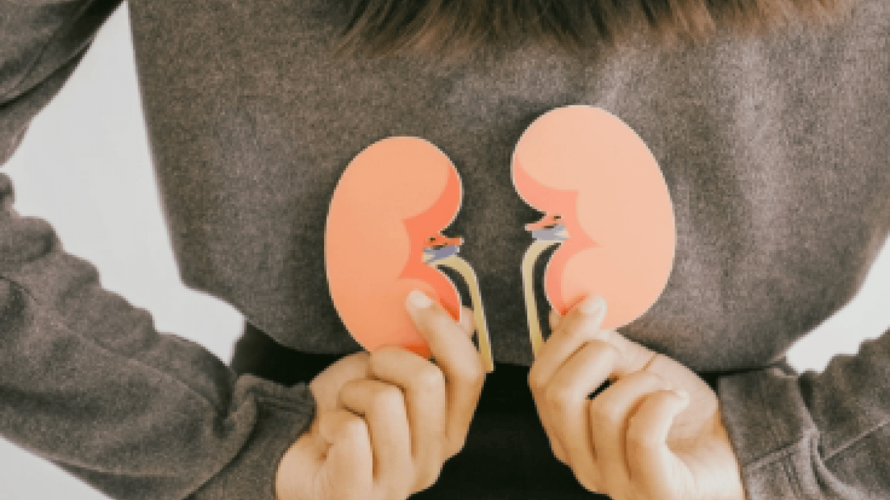 Foto - Sağlık Bakanlığı'ndan kritik uyarı: Erken tanı hayat kurtarır! Her 7 kişiden biri böbrek hastası