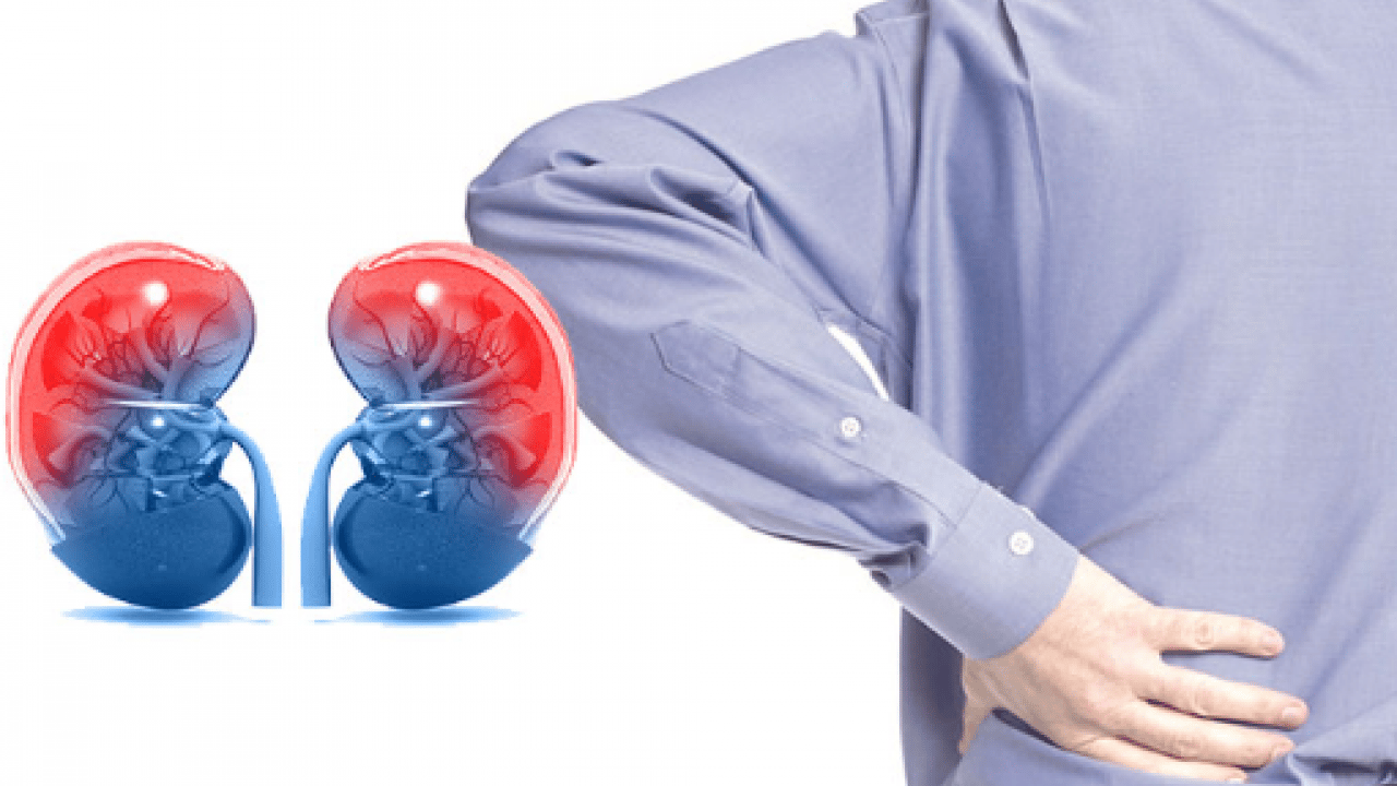 Foto - Sağlık Bakanlığı'ndan kritik uyarı: Erken tanı hayat kurtarır! Her 7 kişiden biri böbrek hastası