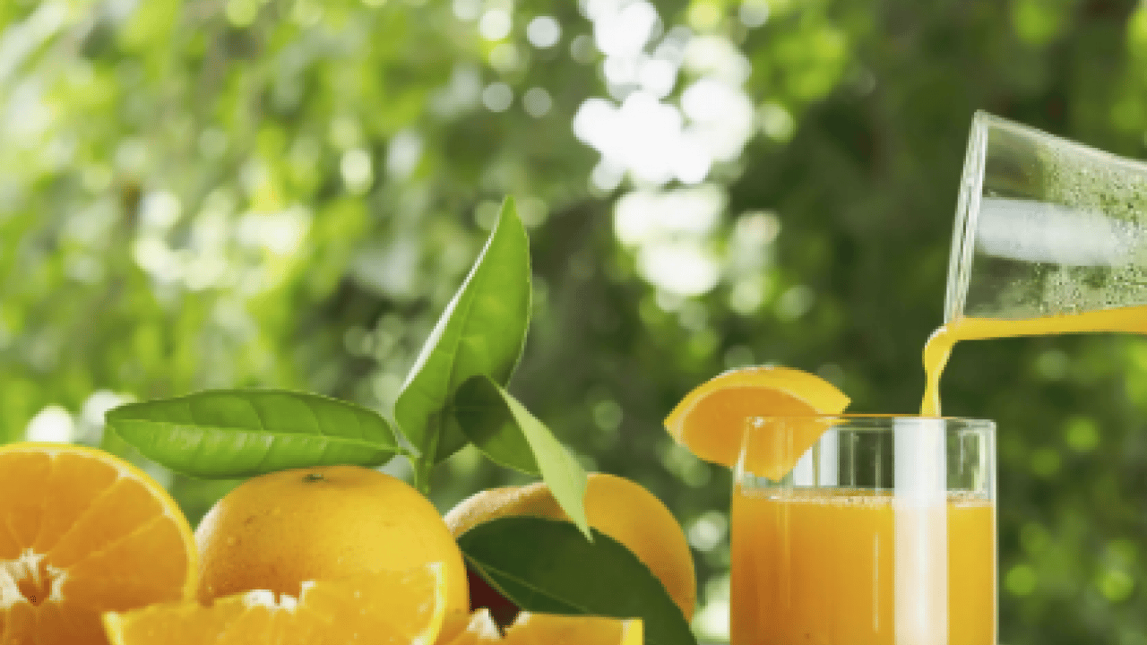 Sağlıklı diye her sabah içiyoruz oysa ki, ama bu yol hakikaten çıkmaz sokakmış...