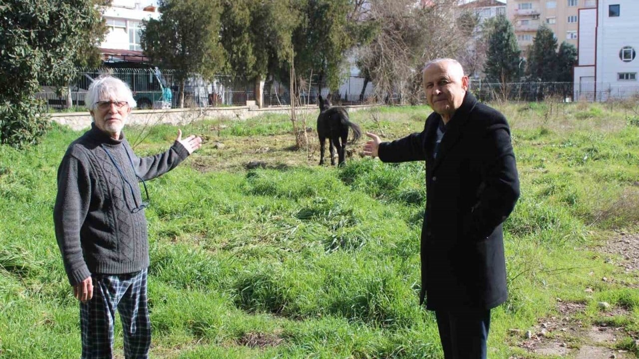 Foto - Sahiplerinin ölüme terk ettiği katırlar ortada kaldı!