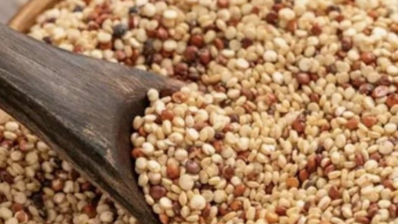 Foto - Sahurda kinoa tüketmek... Enerji açığını tek başına kapatıyor: Protein deposu baklagil
