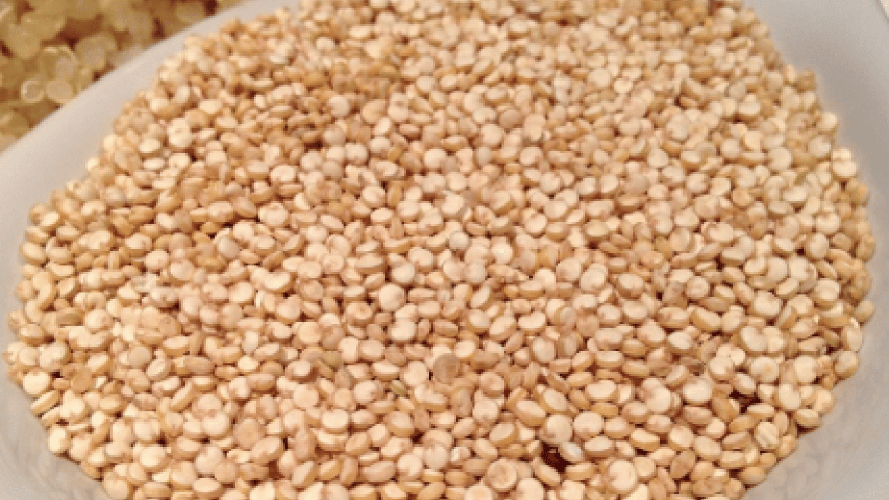 Foto - Sahurda kinoa tüketmek... Enerji açığını tek başına kapatıyor: Protein deposu baklagil