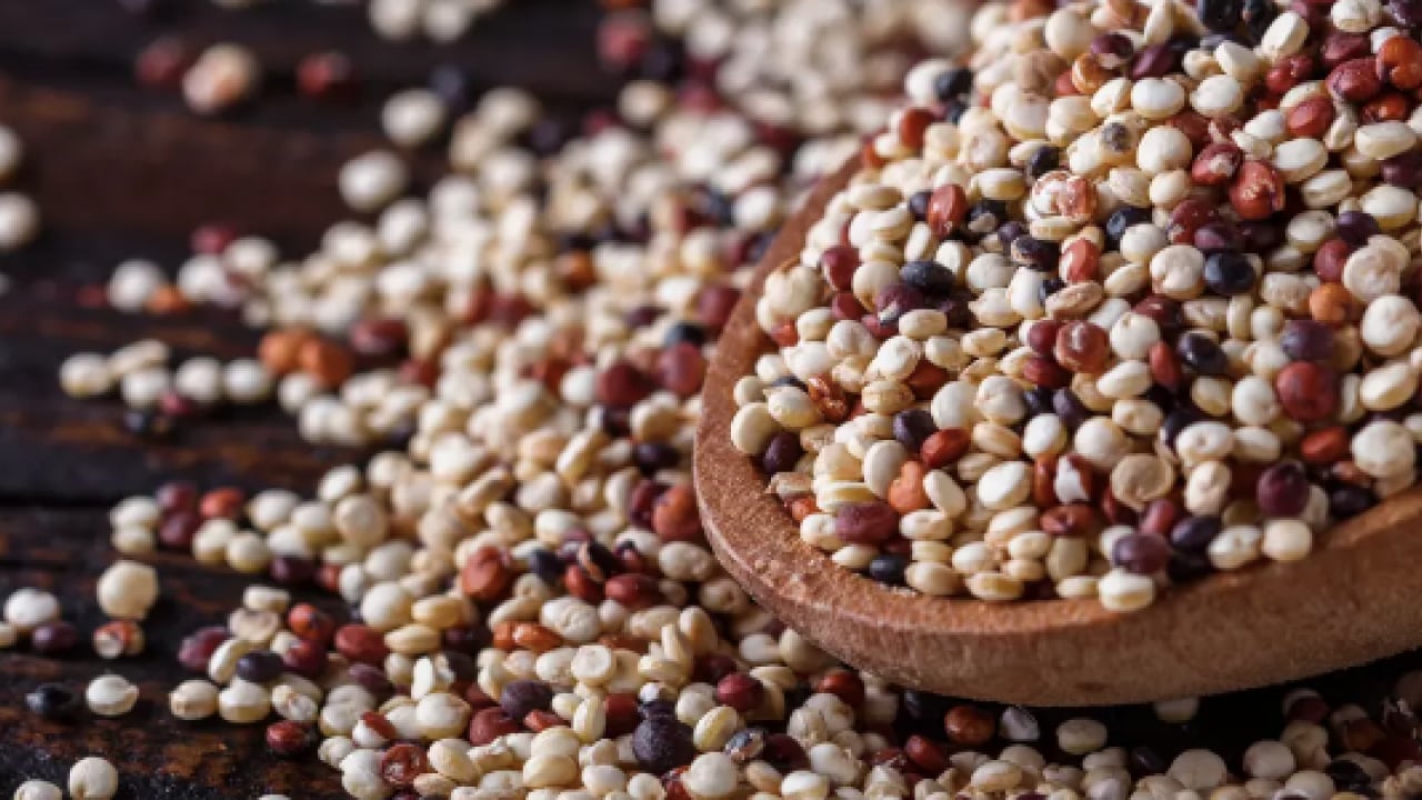 Foto - Sahurda kinoa tüketmek... Enerji açığını tek başına kapatıyor: Protein deposu baklagil