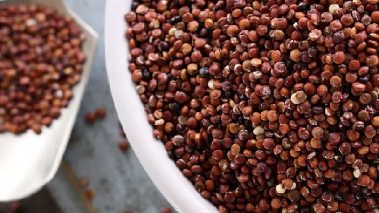 Foto - Sahurda kinoa tüketmek... Enerji açığını tek başına kapatıyor: Protein deposu baklagil