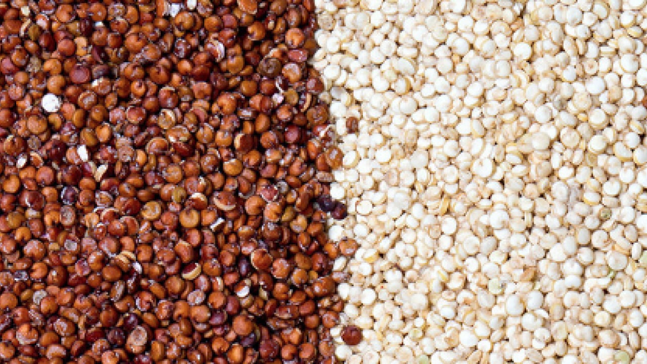 Foto - Sahurda kinoa tüketmek... Enerji açığını tek başına kapatıyor: Protein deposu baklagil