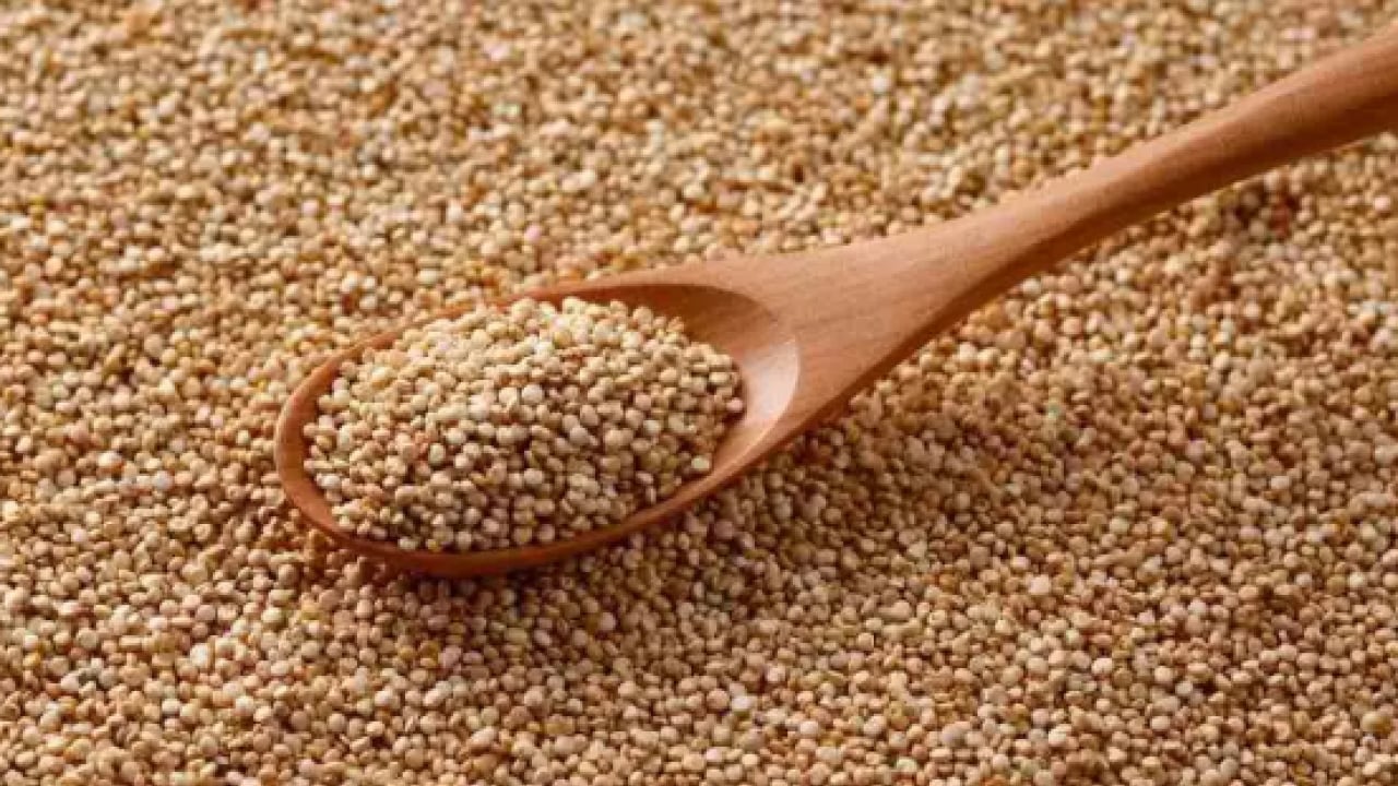 Foto - Sahurda mutlaka tüketin: 16 saat tok tutuyor!