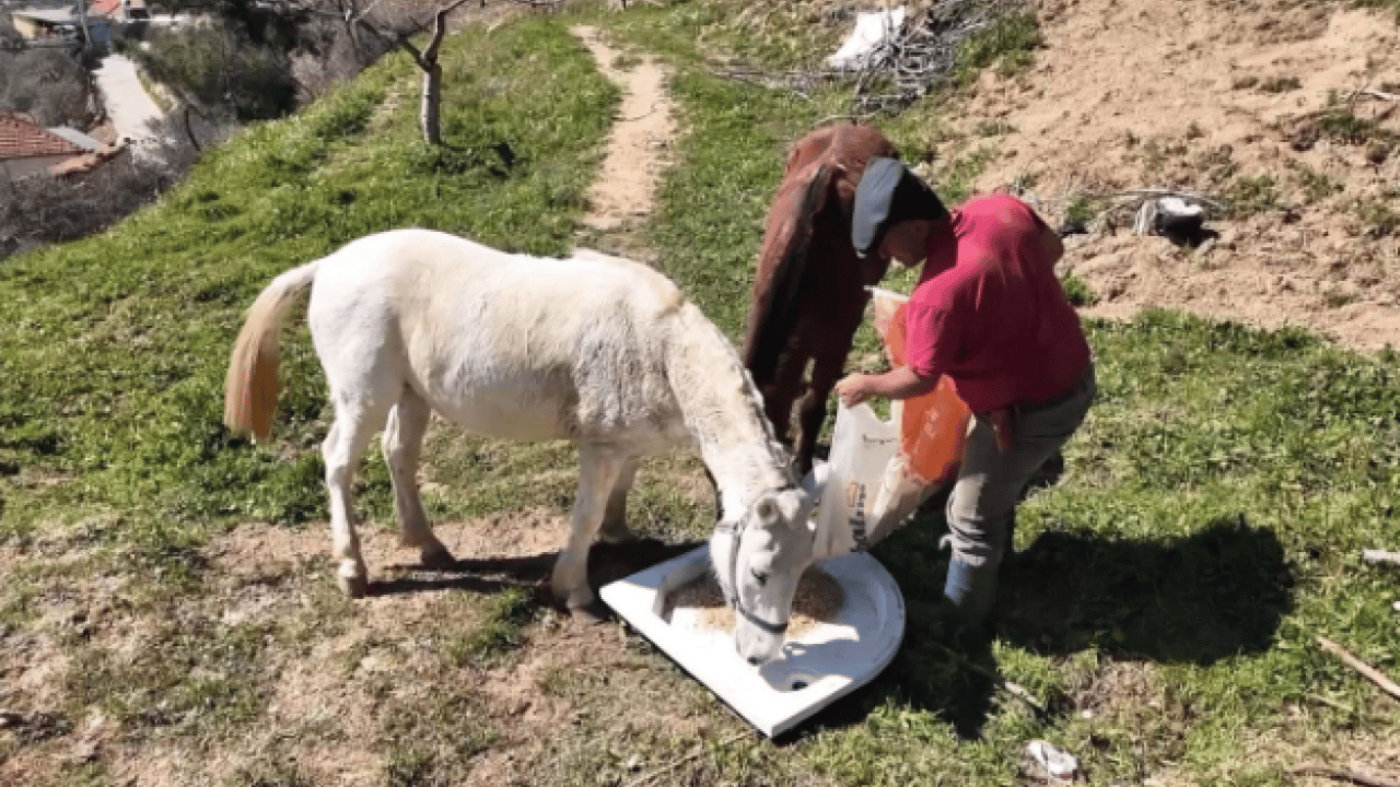 Foto - Şaka değil gerçek! Aylık 240 bin TL'ye çalışacak kimseyi bulamıyor