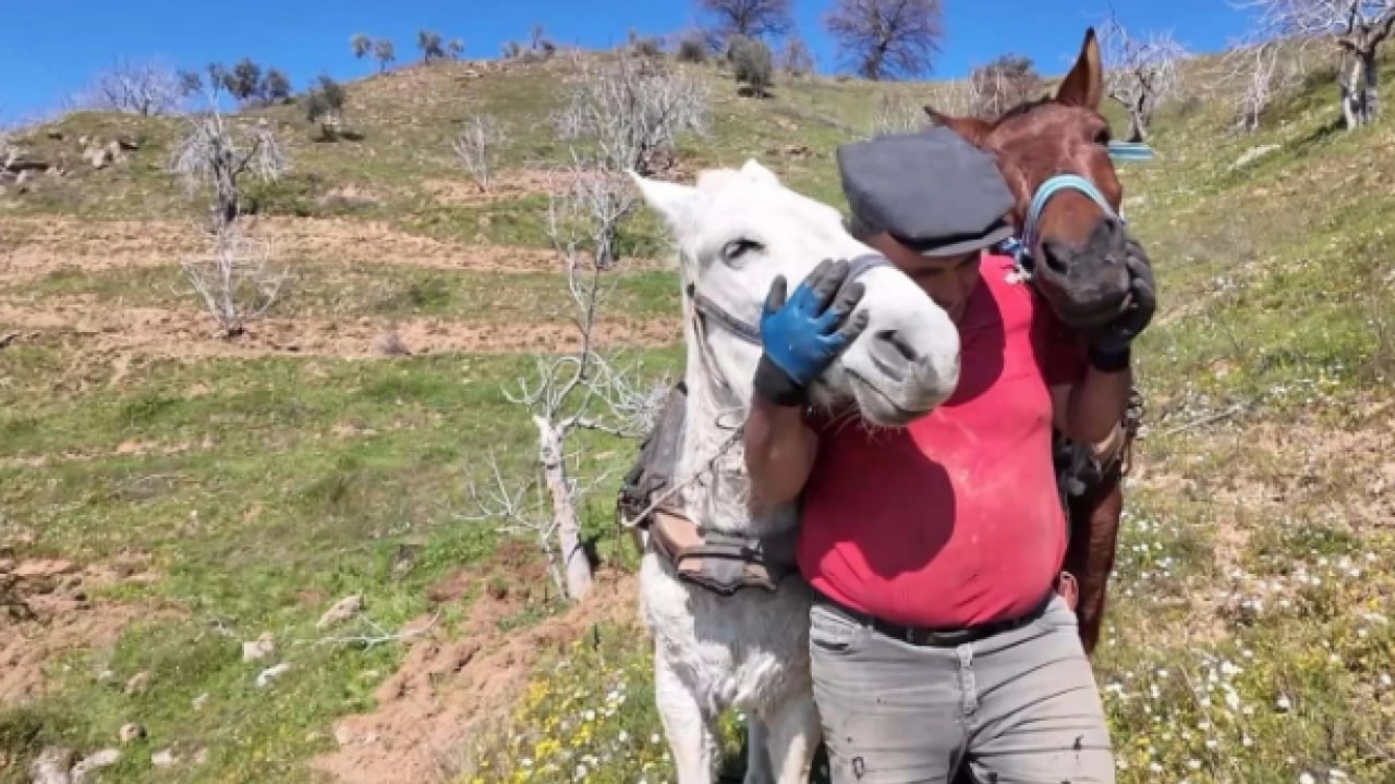 Foto - Şaka değil gerçek! Aylık 240 bin TL'ye çalışacak kimseyi bulamıyor