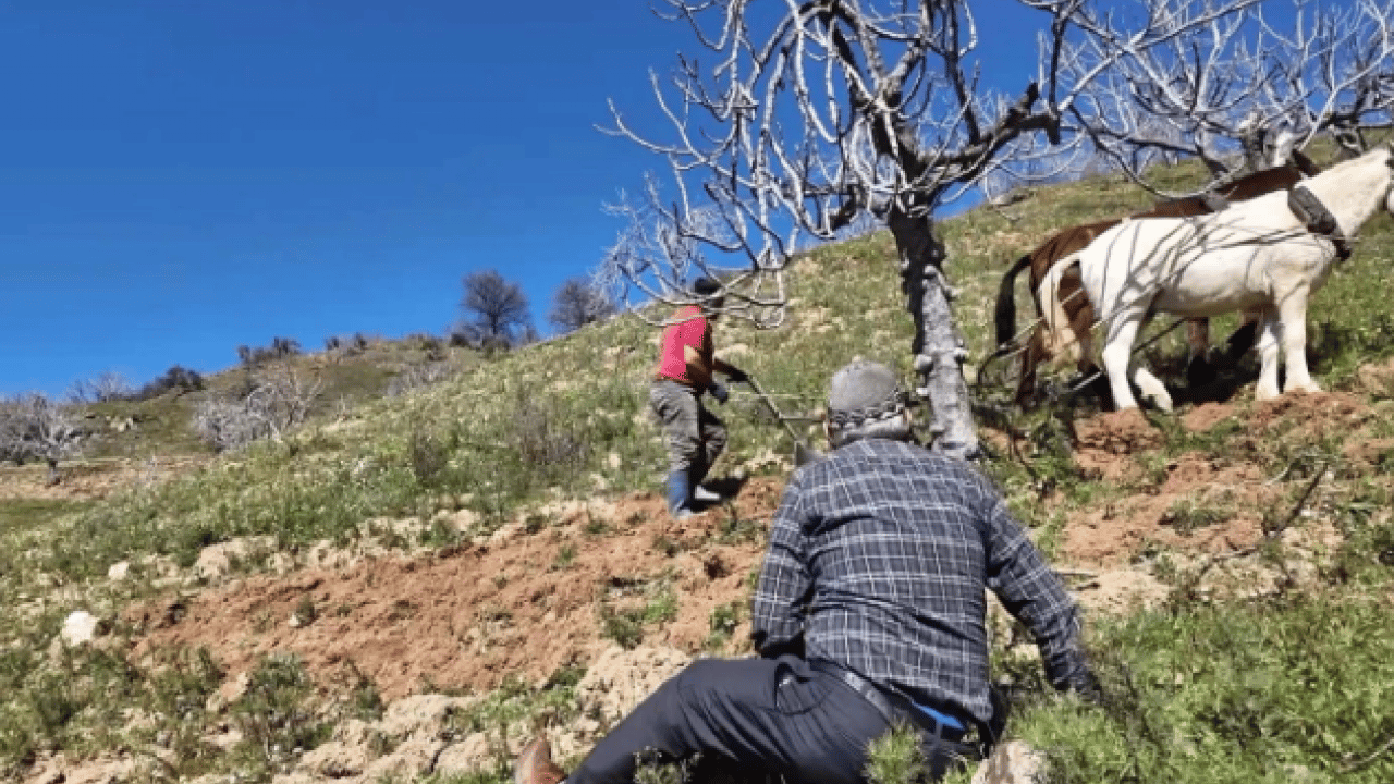 Foto - Şaka değil gerçek! Aylık 240 bin TL'ye çalışacak kimseyi bulamıyor