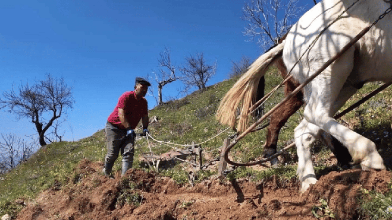 Foto - Şaka değil gerçek! Aylık 240 bin TL'ye çalışacak kimseyi bulamıyor