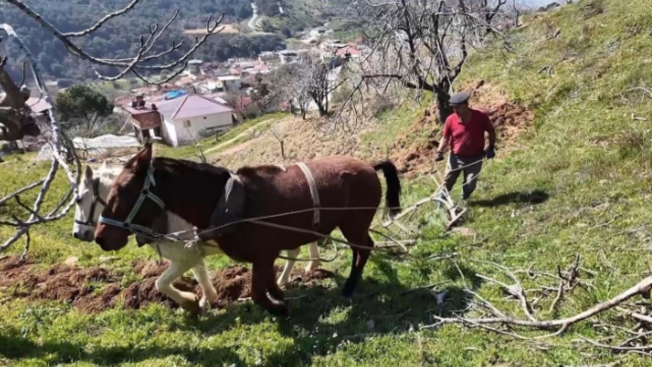 Şaka değil gerçek! Aylık 240 bin TL'ye çalışacak kimseyi bulamıyor