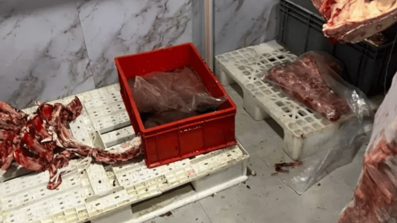 Foto - Sakarya'da mide bulandıran görüntüler! Skandal ortaya çıktı!