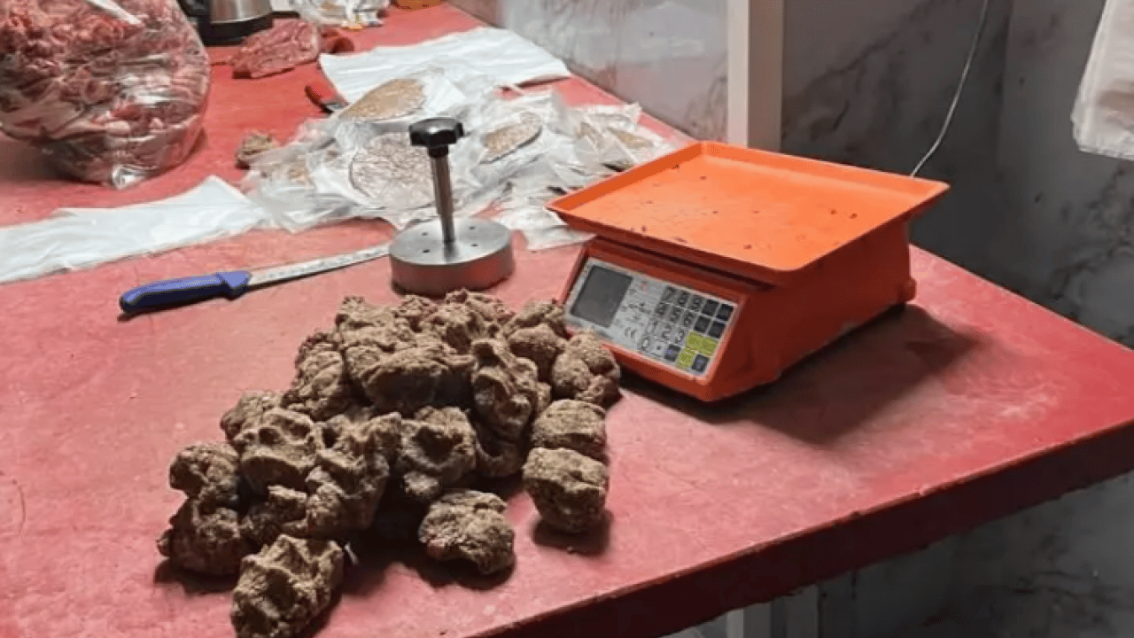 Sakarya'da mide bulandıran görüntüler! Skandal ortaya çıktı!