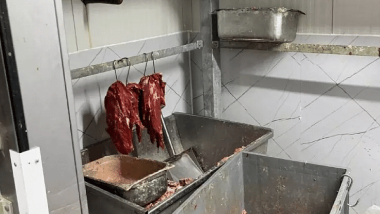 Foto - Sakarya'da mide bulandıran görüntüler! Skandal ortaya çıktı!