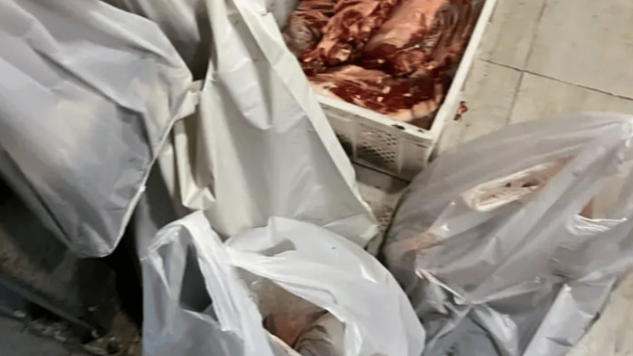 Foto - Sakarya'da mide bulandıran görüntüler! Skandal ortaya çıktı!