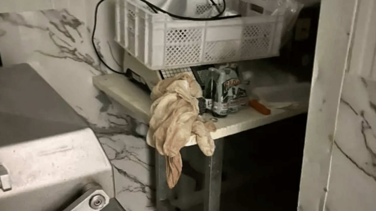 Foto - Sakarya'da mide bulandıran görüntüler! Skandal ortaya çıktı!