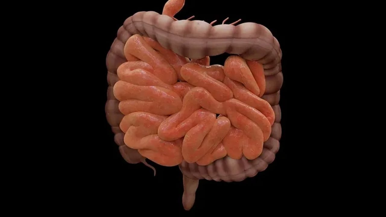 Foto - Sakın bu hatayı yapmayın: Tuvalet kâğıdı kullananlar dikkat! Günde İki tane bile yemek azaltıyor! 