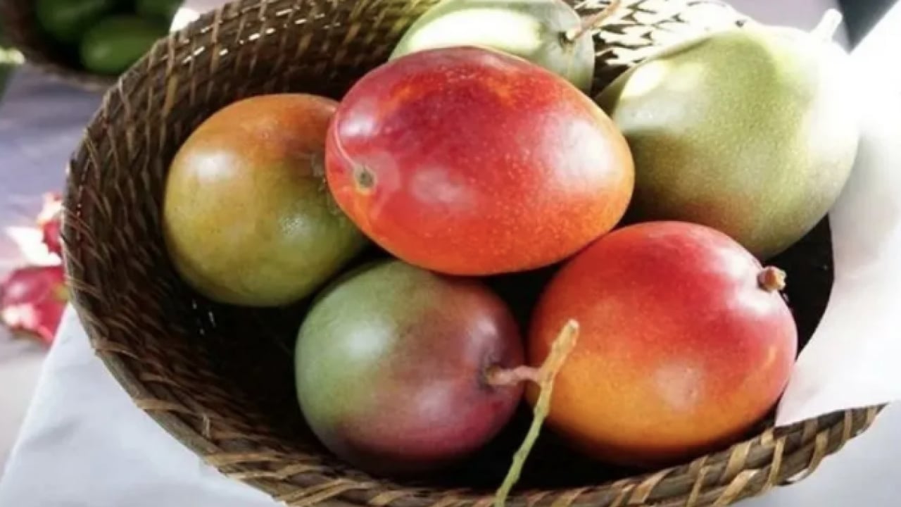 Sakın çöpe atmayın! Meyve kabukları öyle bir işe yarıyor ki... Bakın nasıl tedavi eder