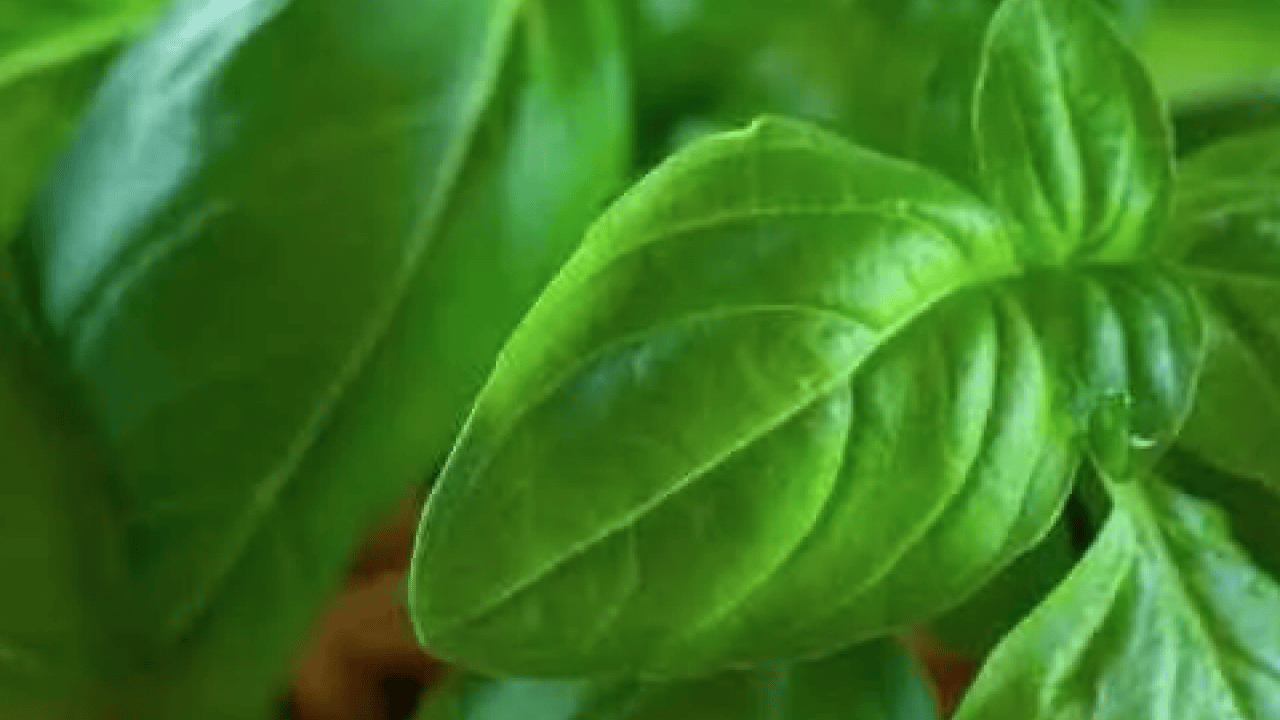 Foto - Sakın koymayın! Buzdolabına bunları yerleştirmeniz hata mı yoksa?