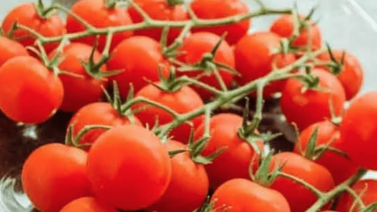 Foto - Sakın koymayın! Buzdolabına bunları yerleştirmeniz hata mı yoksa?