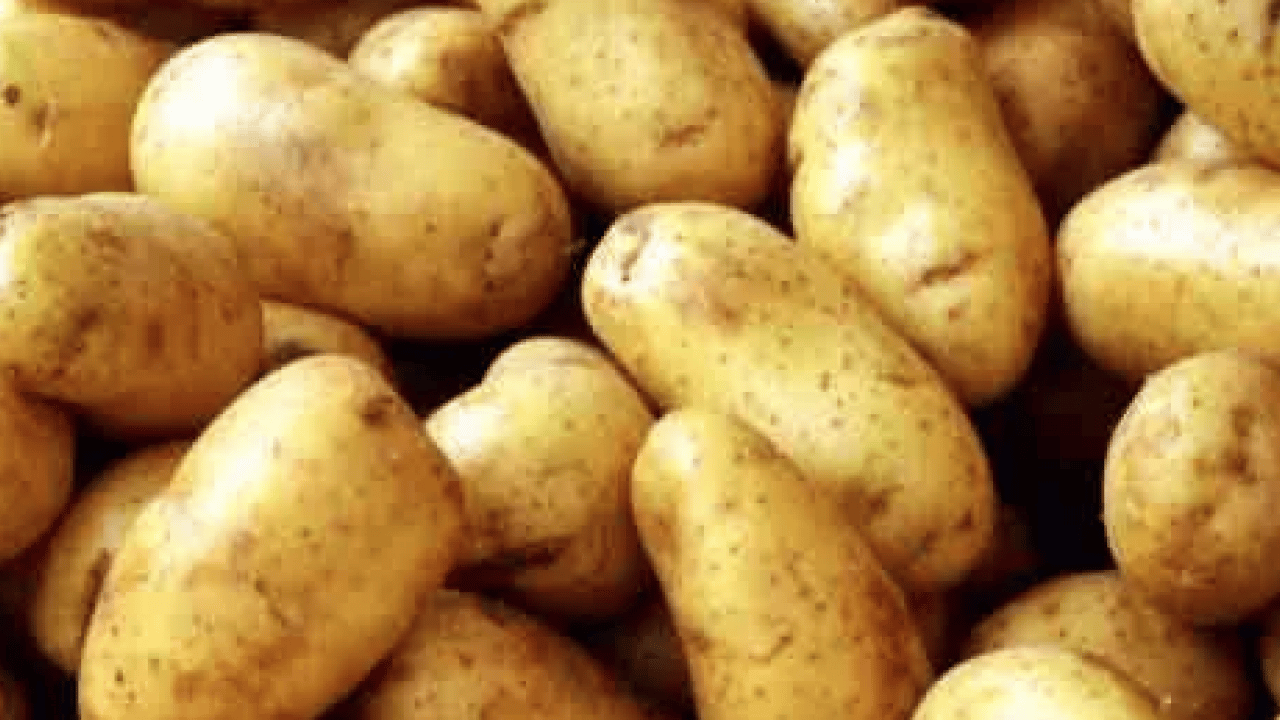 Foto - Sakın koymayın! Buzdolabına bunları yerleştirmeniz hata mı yoksa?