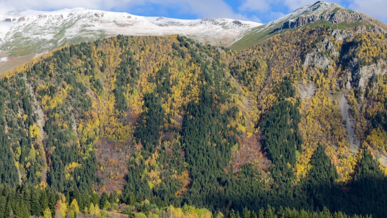 Foto - "Sakin şehir" sonbaharda bir başka güzel