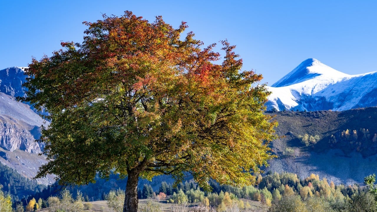 Foto - "Sakin şehir" sonbaharda bir başka güzel