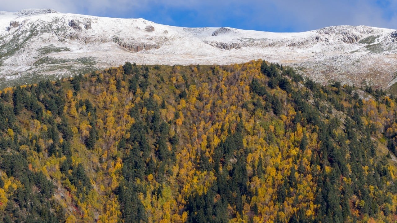 Foto - "Sakin şehir" sonbaharda bir başka güzel