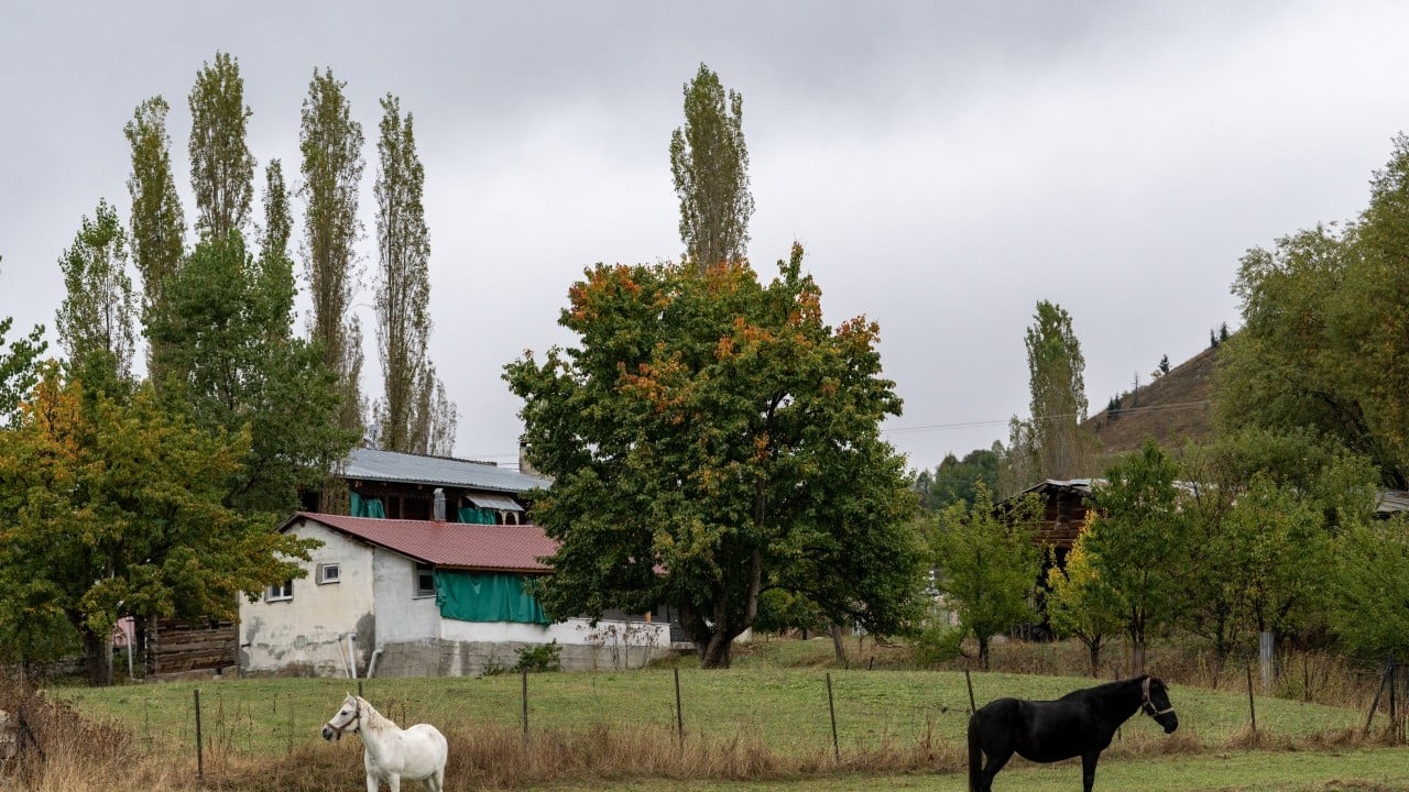 Foto - "Sakin şehir" sonbaharda bir başka güzel