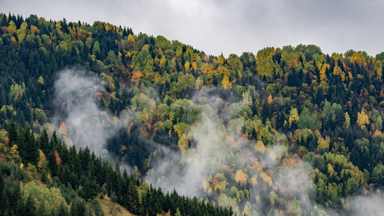 Foto - "Sakin şehir" sonbaharda bir başka güzel