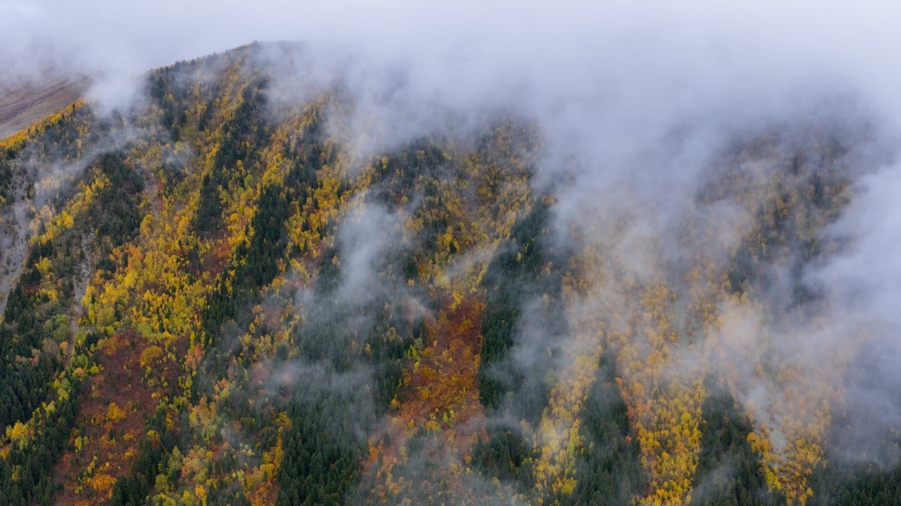 Foto - "Sakin şehir" sonbaharda bir başka güzel