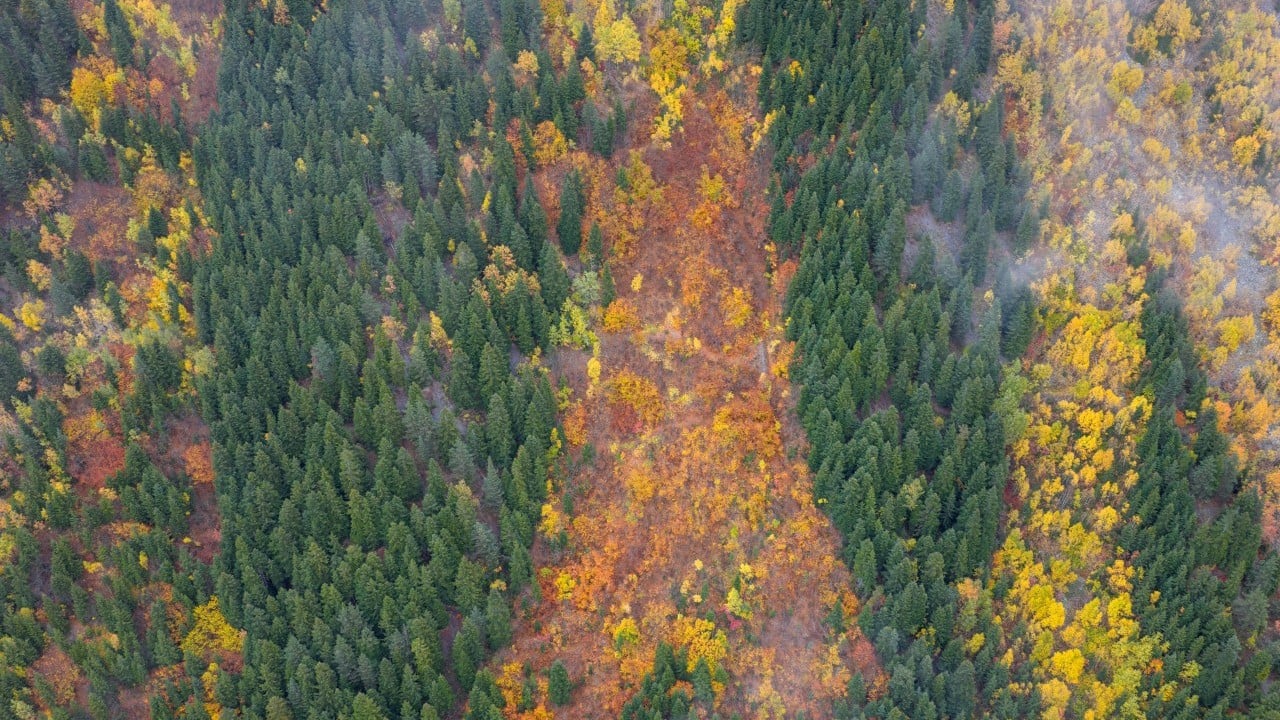Foto - "Sakin şehir" sonbaharda bir başka güzel