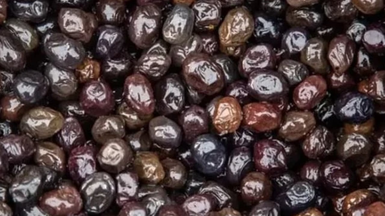 Foto - Salamura işleminden geçse bile... En sağlıklı zeytin açıklandı: Siyah mı yeşil mi tartışması bitti