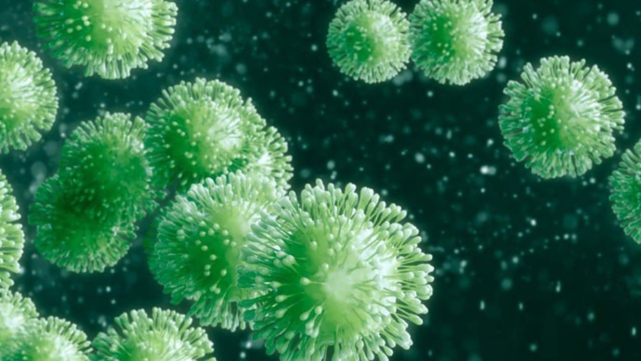 Foto - Salgın sinyalleri güçleniyor: Kuş gribi ve iklim tehdidi kapıda