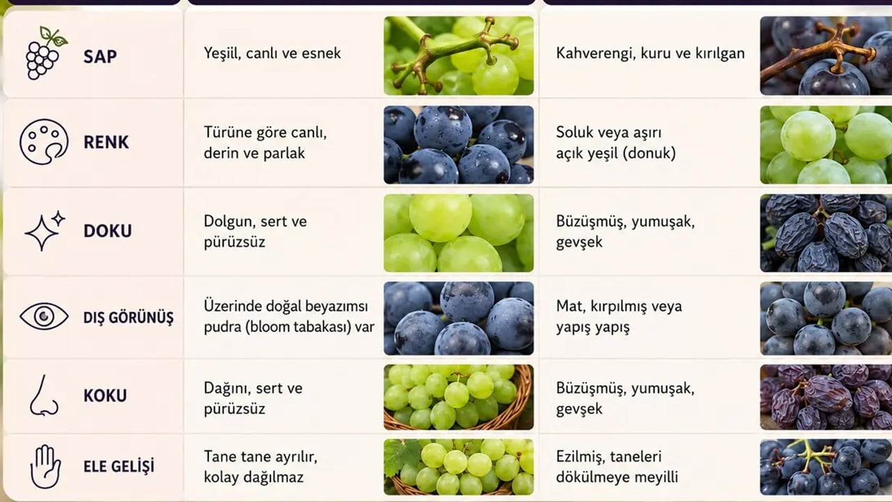 Foto - Salkım üzüm iyi nasıl seçilir? Tazelik sapından mı renginden mi anlaşılır? Herkes en iyisini seçmek istiyor