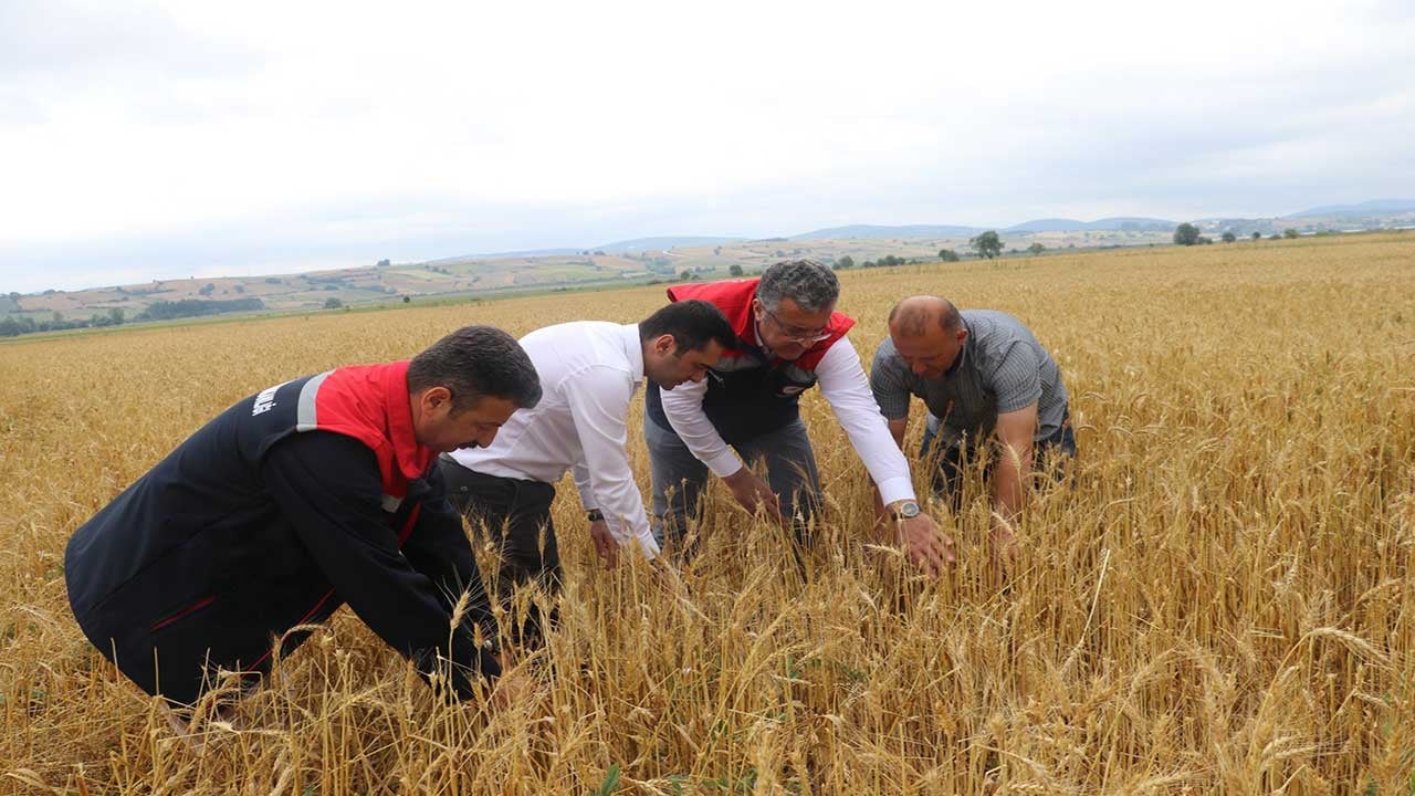 Samsun’da dolu felaketi! 40 bin dekar tarım arazisi yerle bir oldu!