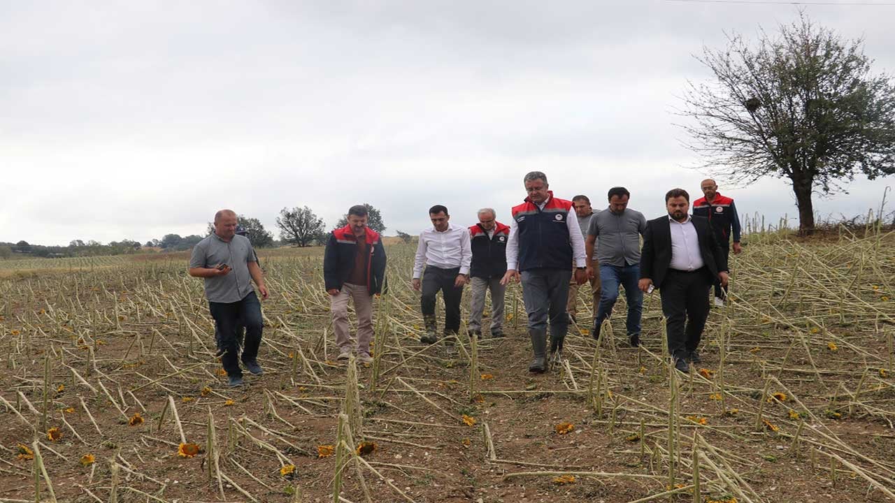 Foto - Samsun’da dolu felaketi! 40 bin dekar tarım arazisi yerle bir oldu!