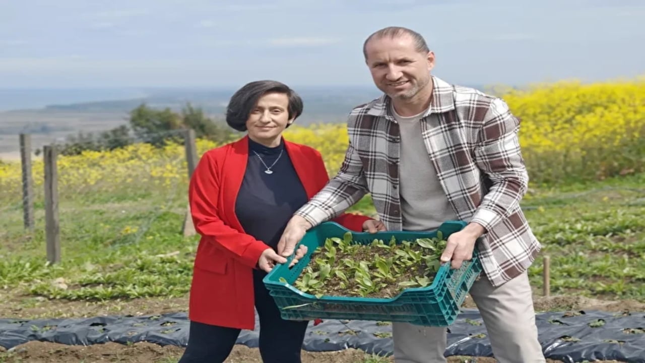 Foto - Samsun’un "ak hazinesi" topraktan fışkırıyor: 50 metrekarelik alanda 600 tane ile başladılar, şimdi taleplere yetişemiyorlar