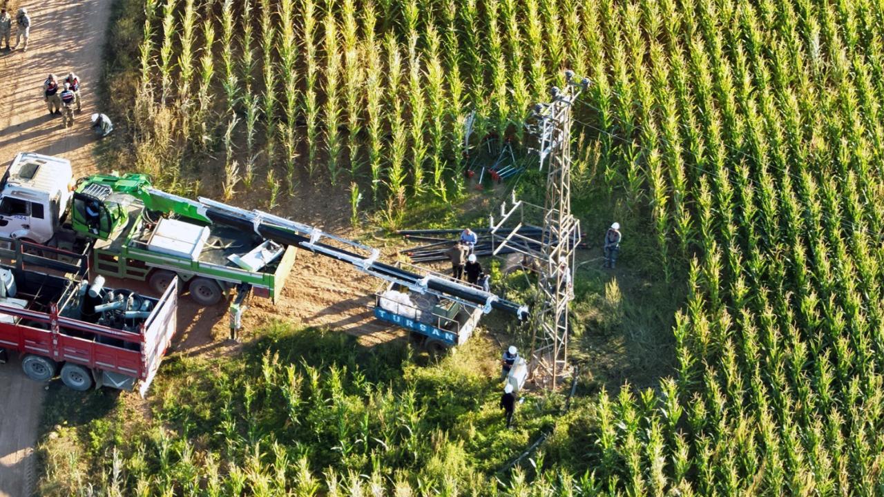 Foto - Şanlıurfa'daki tarlalardan bakın ne fışkırıyor: Size yazıklar olsun