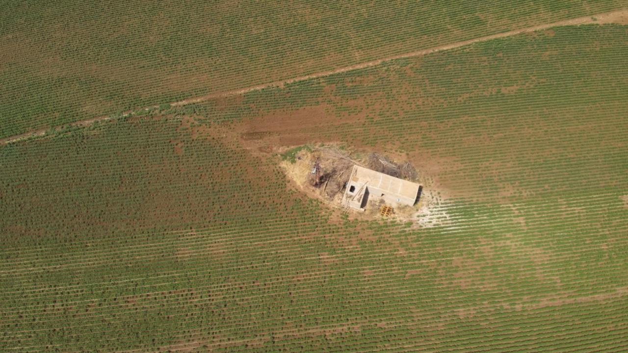 Foto - Şanlıurfa'daki tarlalardan bakın ne fışkırıyor: Size yazıklar olsun