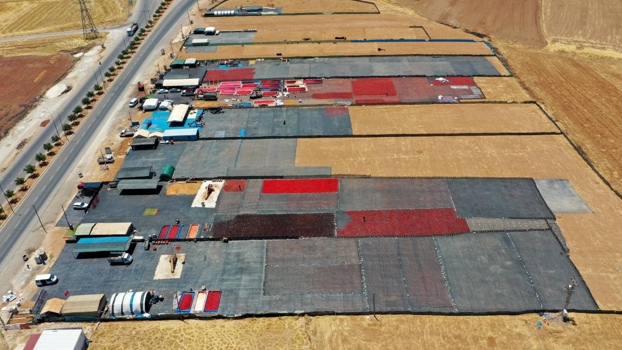 Foto - Şanlıurfa'nın kavurucu sıcağı biberleri lezzetlendiriyor! 45 derecelik sıcakta isot mesaisi