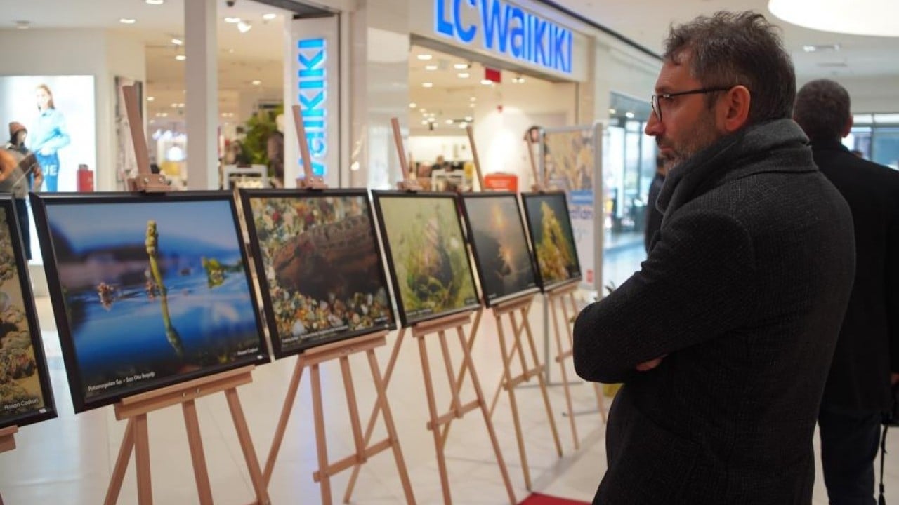 Foto - Sapanca Gölü fotoğrafları Gazze için umuda dönüştü