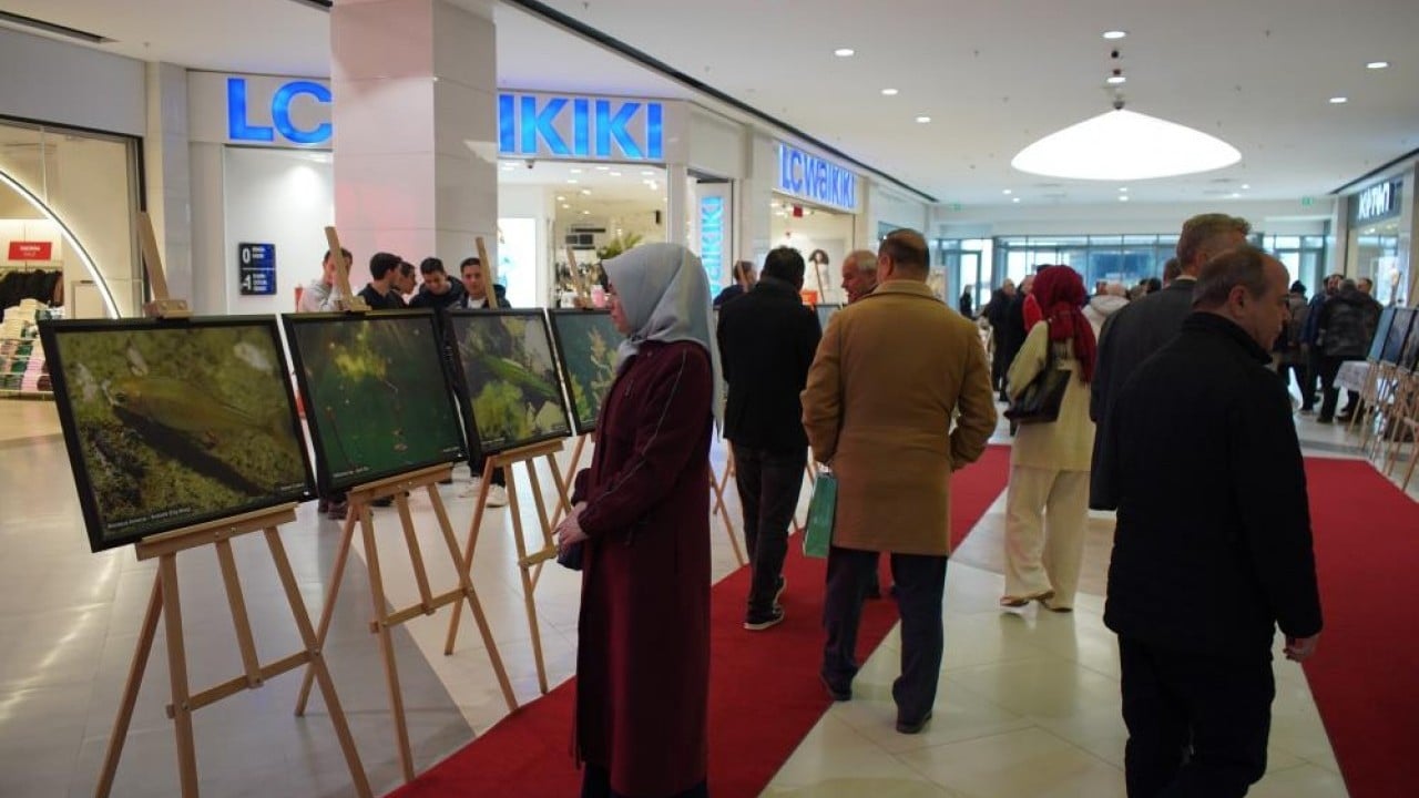 Foto - Sapanca Gölü fotoğrafları Gazze için umuda dönüştü