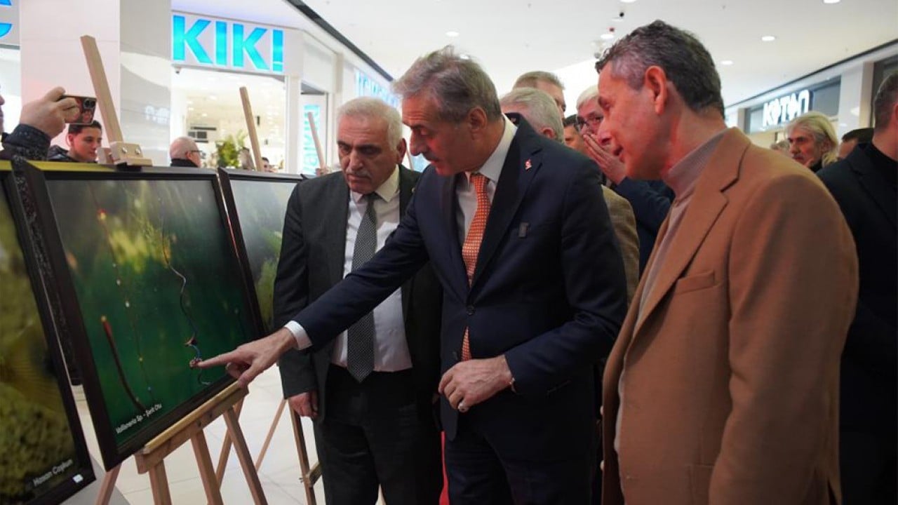 Sapanca Gölü fotoğrafları Gazze için umuda dönüştü