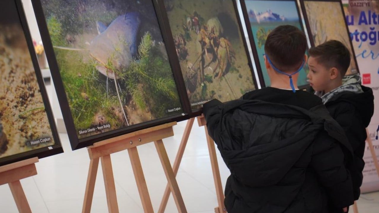 Foto - Sapanca Gölü fotoğrafları Gazze için umuda dönüştü