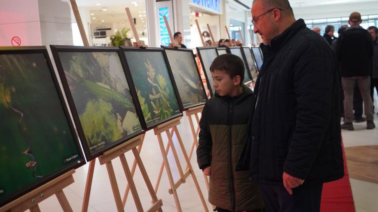 Foto - Sapanca Gölü fotoğrafları Gazze için umuda dönüştü