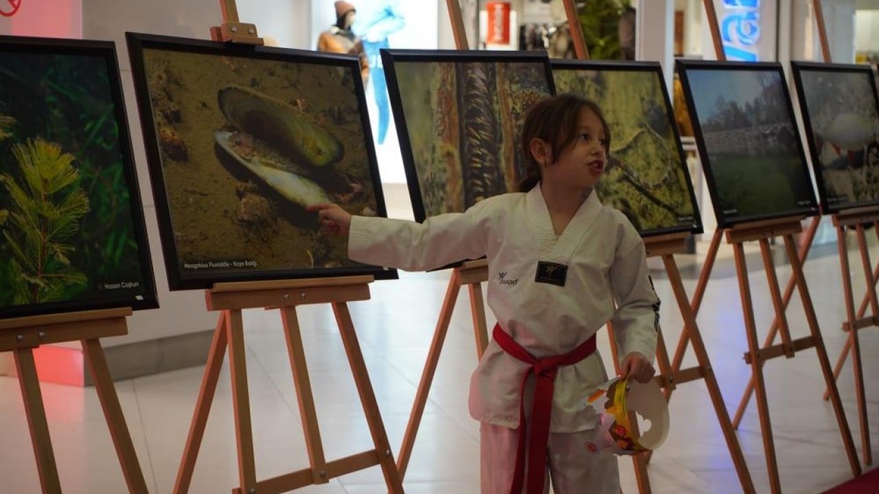 Foto - Sapanca Gölü fotoğrafları Gazze için umuda dönüştü