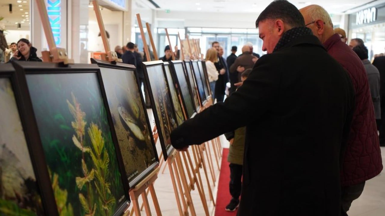 Foto - Sapanca Gölü fotoğrafları Gazze için umuda dönüştü